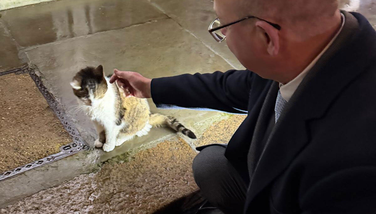 Peter and Larry the cat